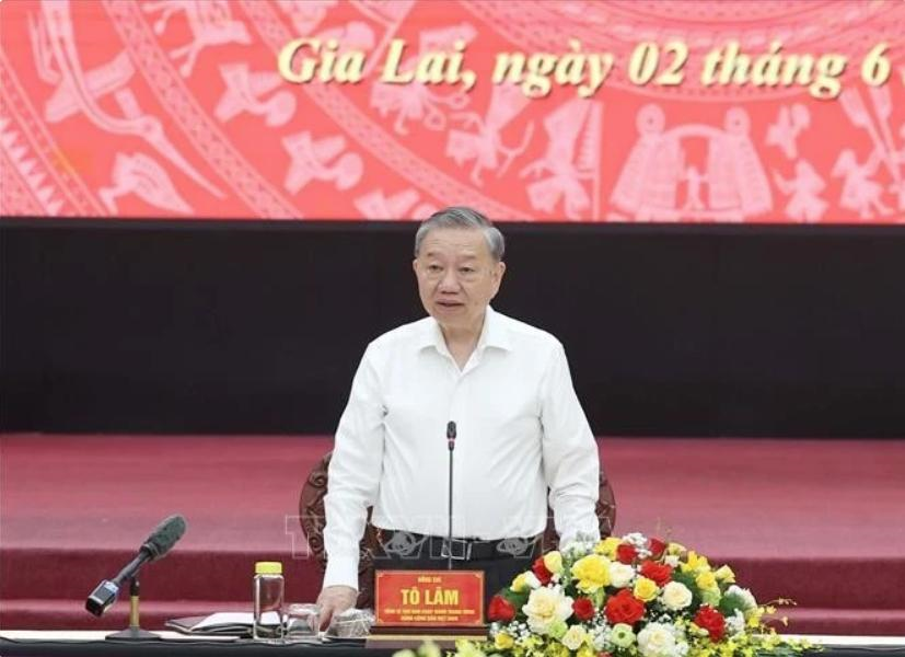 Merger to turn Gia Lai into a growth pole of Central-Central Highlands region: Party chief